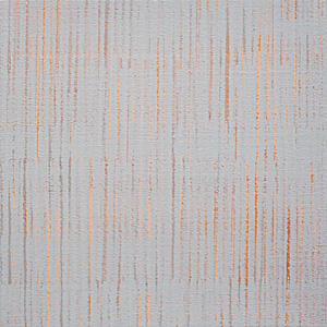 Nikola Dimitrov, Synapsen, 12 Arbeiten, 2008, 30 x 30 cm, Pigment, Bindemittel, Lösungsmittel auf Leinwand