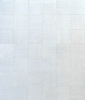 Nikola Dimitrov, artist in residence, Basel, Verklärte Nacht - nach Arnold Schönberg, 2012, 105 x 90 cm, Pigmente, Bindemittel, Lösungsmittel auf Leinwand