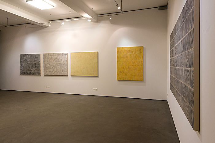 Nikola Dimitrov, insitu der Ausstellung in der Galerie Judith Andreae, Bonn Januar - Februar 2013