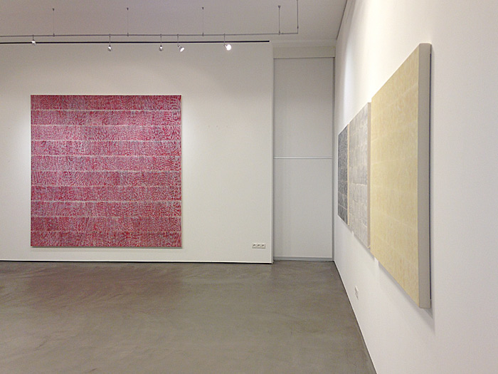 Nikola Dimitrov, insitu der Ausstellung in der Galerie Judith Andreae, Bonn Januar - Februar 2013