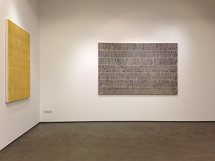 Nikola Dimitrov, insitu der Ausstellung in der Galerie Judith Andreae, Bonn Januar - Februar 2013
