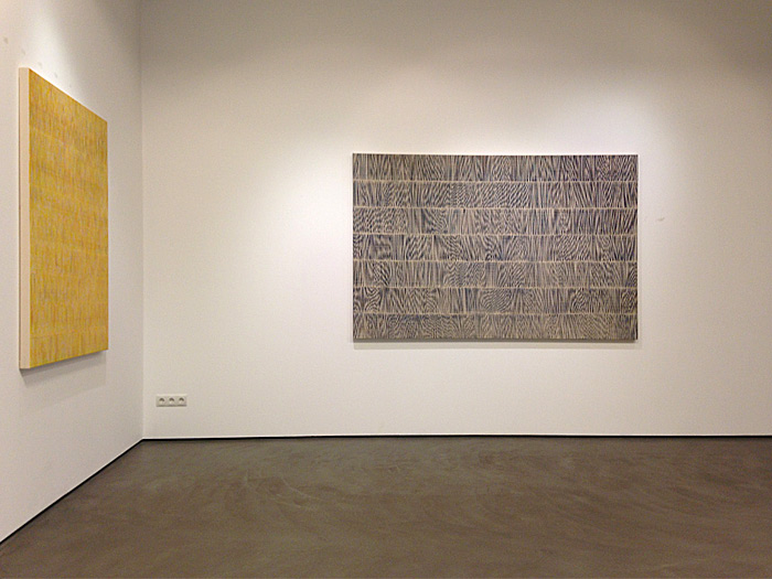 Nikola Dimitrov, insitu der Ausstellung in der Galerie Judith Andreae, Bonn Januar - Februar 2013