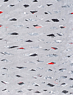 Nikola Dimitrov, Winterreise - Gefror'ne Thränen, 2012, Pigment, Bindemittel, Lösungsmittel auf Bütten, 22 x 17 cm