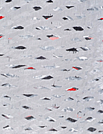 Nikola Dimitrov, Winterreise - Gefror'ne Thränen, 2012, Pigment, Bindemittel, Lösungsmittel auf Bütten, 22 x 17 cm